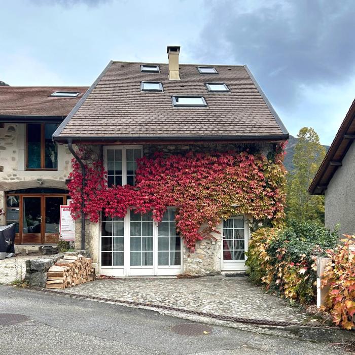 Charming village house in Chevrier France, near Geneva