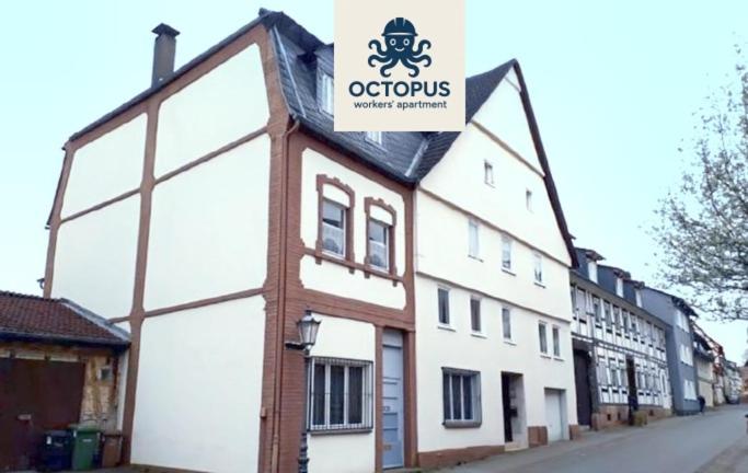 OCTOPUS-1 Monteurwohnung in Zentrum! 2-zkb in 1og