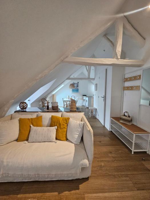 Santorin, Appartement lumineux au coeur de Vannes
