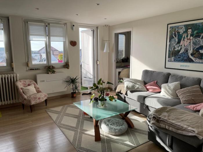 Le Coeur de Colmar - Parking & Clim