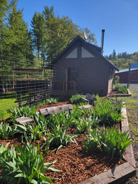 Cozy Cabin, near Mosier and Hood River