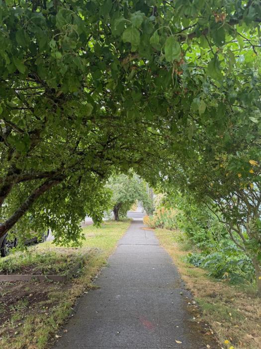 Private Room "Evergreen" by UW