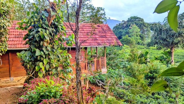 Sinharaja Forest Lodge - Deniyaya