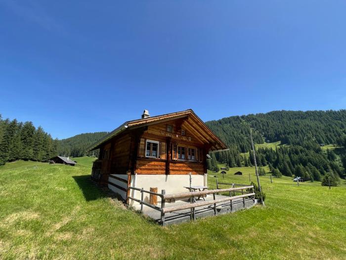 Peters Hütte in Hasliberg Bidmi