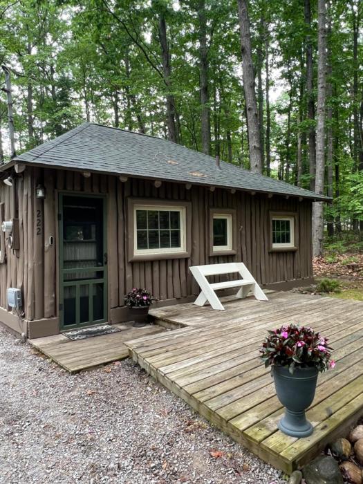 The Higgins Lake Hideaway - Super Cute!