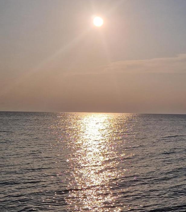 Studio Apartman Mario