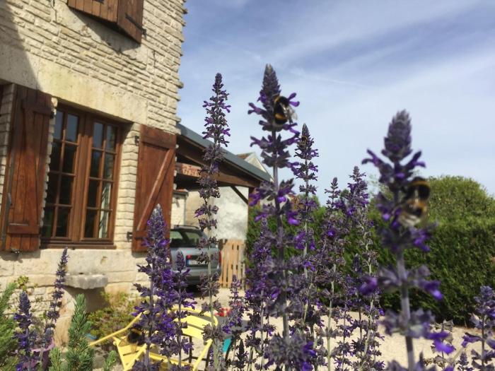 Gîte champenois les voisins