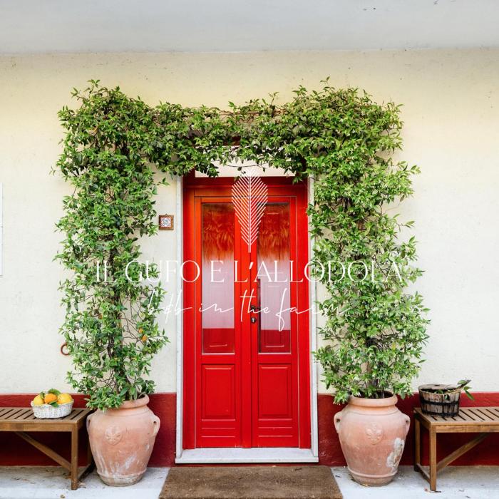 Il Gufo e l Allodola