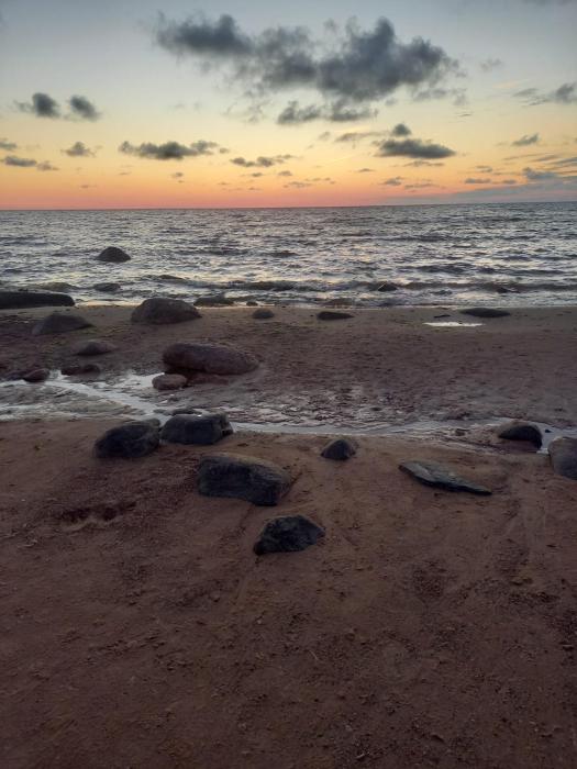 Cozy apartment near the sea