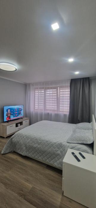 Apartamentai Grigiškes