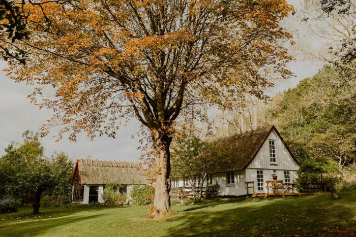Thatched House Between Forest And Meadow
