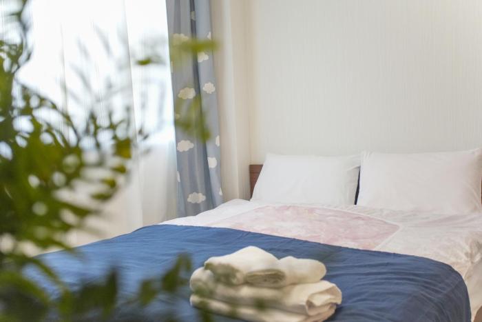 Asakusa 5 Chome One Bedroom KazeNoItsu 101