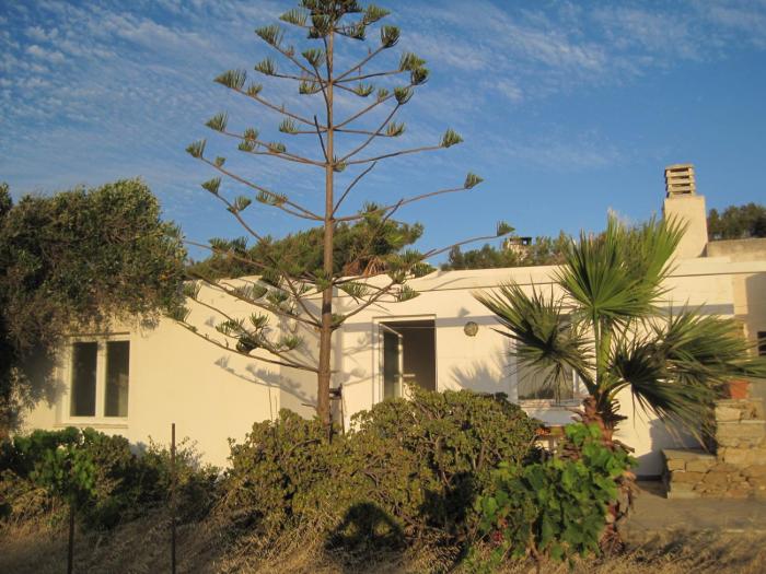 Tsanakou Vineyard Glinado