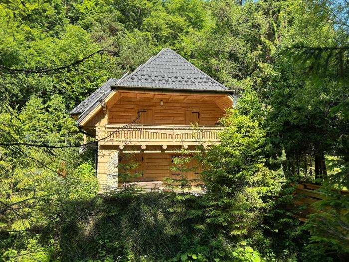 Forest House- dom nad górskim potokiem