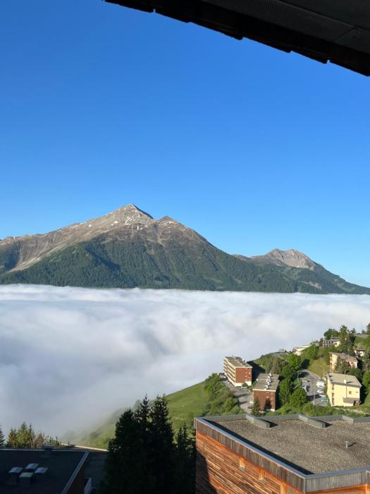 Bel appart pieds des pistes