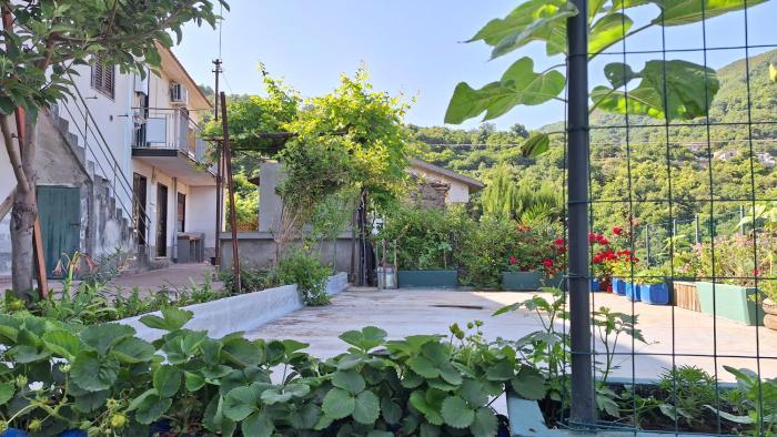 Casa vacanze Nonna Sara