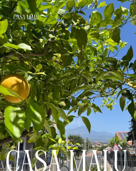 Casa MaLù