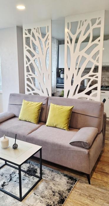 Apartamentai su balkonu prie Akropolio Taikos pr 48