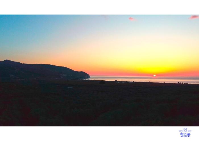 B&B Corte degli Ulivi