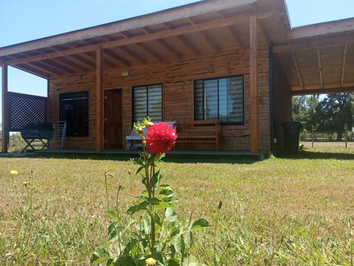 Cabañas Quilacoyan entre Villarrica y Pucon