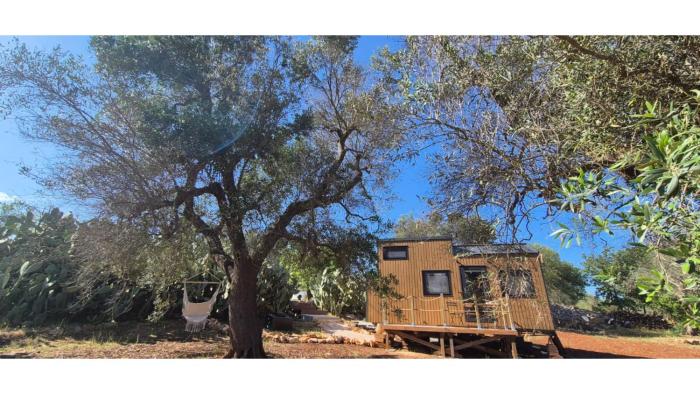 Il Nostro Sogno - Madonna by Tiny Away