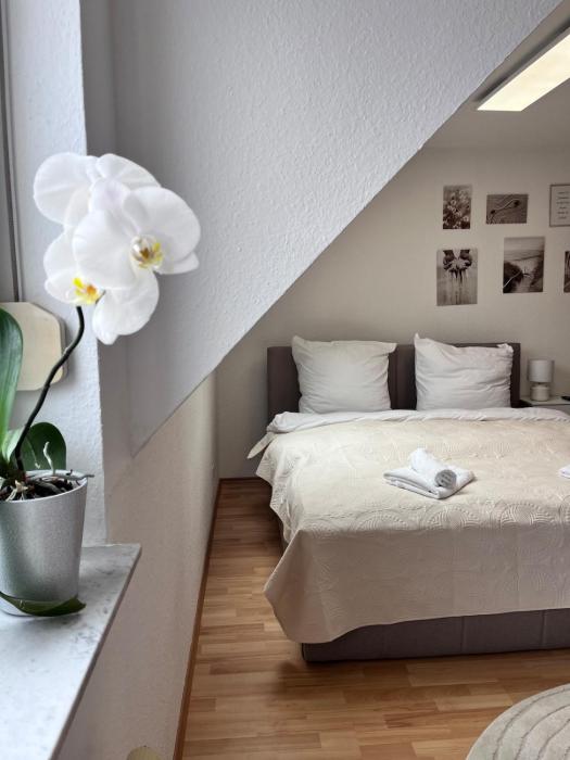 Fe-Wo im Herzen von Weingarten