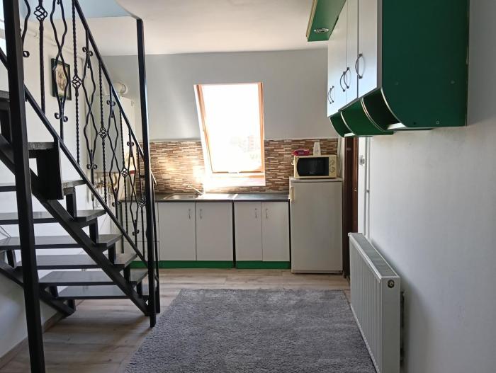 Apollo Green 1 cameră