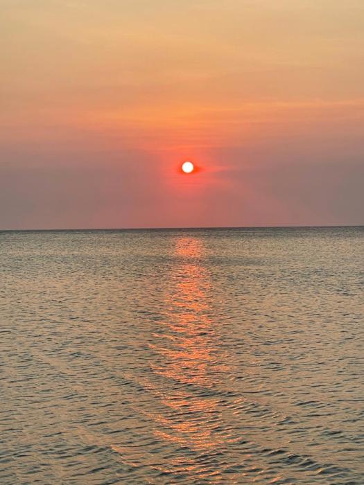 Tree Top Suites & Resort