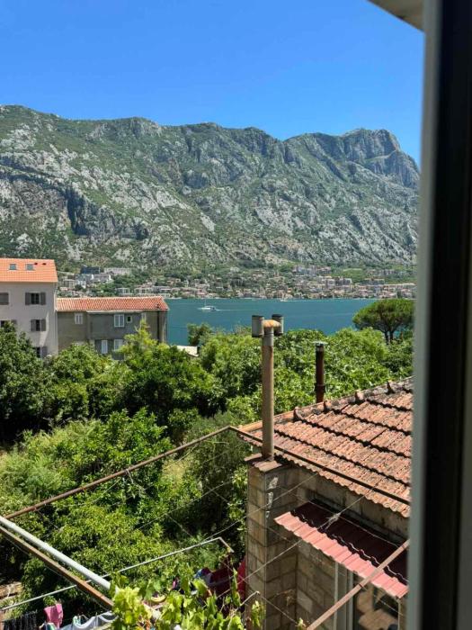 Apartman Elena