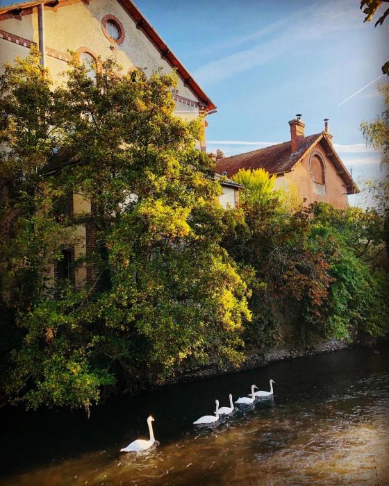 3 lofts dans Minoterie Industrielle