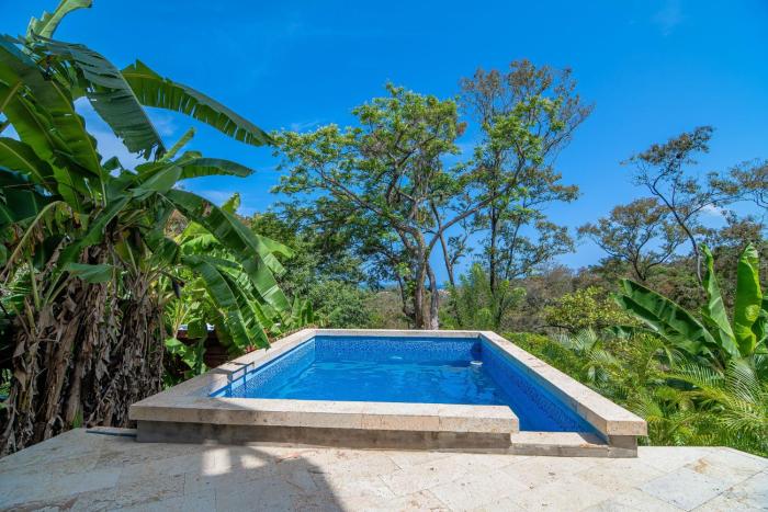 Palm Luxury King Suite, Pool, ocean views, beach short walk West Bay West End