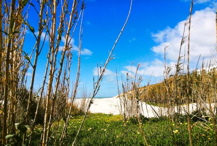 The Sea Breeze Haven in Praia del Rey