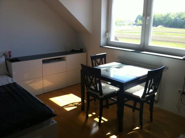 Andros modern studio apartment