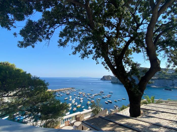 Oasi del Mare Pinna Nobilis