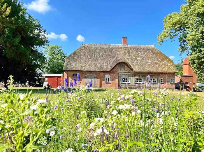 Kutscherremise Gut Niendorf - ABC592 - nur Feriengäste!