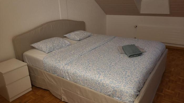 VK - VB - Zürich Airport - Homestay - Villa Bänikon