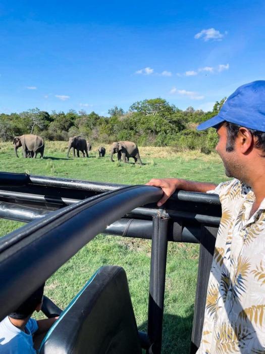 Habarana elephant safari &rooms