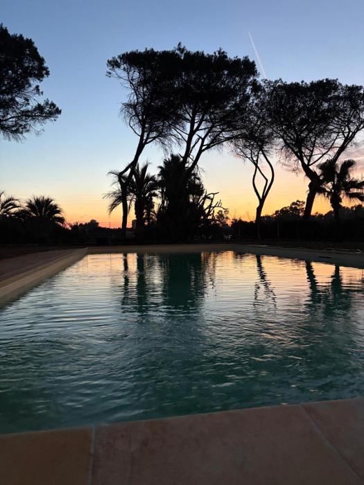 Peacock apartments Latina