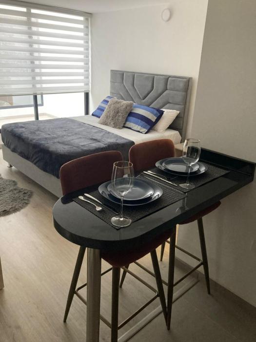 Moderno y central apartaestudio 102
