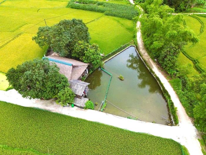 Mộc mạc nhà sàn