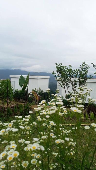 ภูศิโยน ม่อนแจ่ม