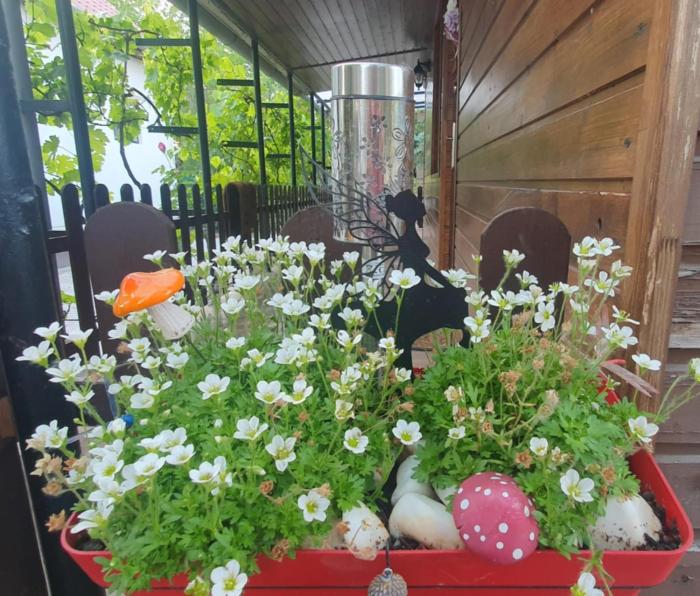 Tündérkert Apartman