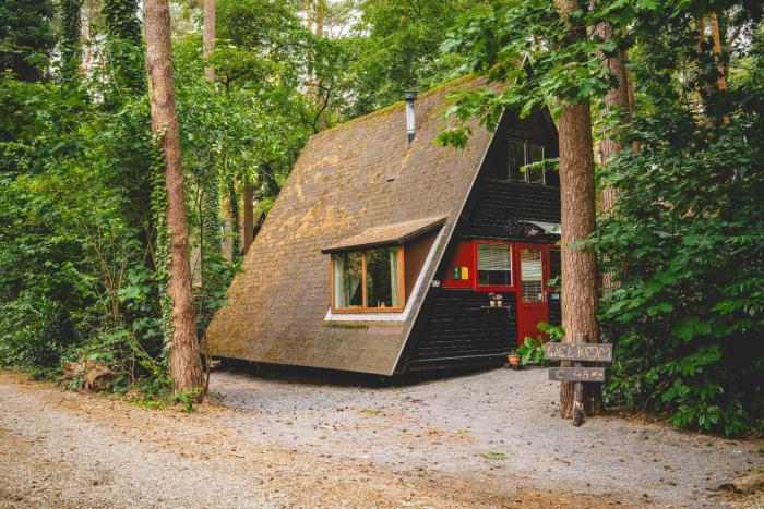 Boshuisje Rekem - Memories