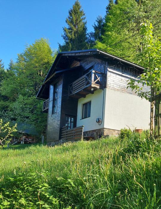 Під Боржавою