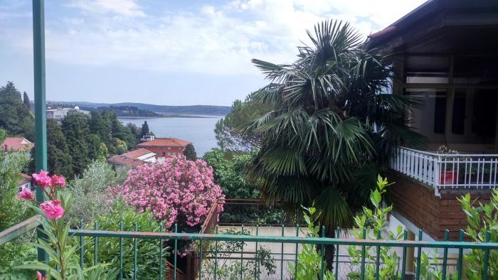 Seaview Oasis