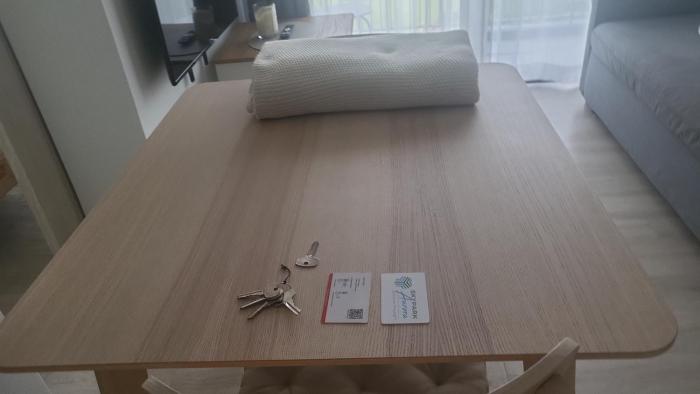 Sky Park Laguna Residences F5