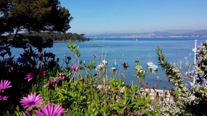 Beau studio en bord de mer à Six-Fours-Les-Plages