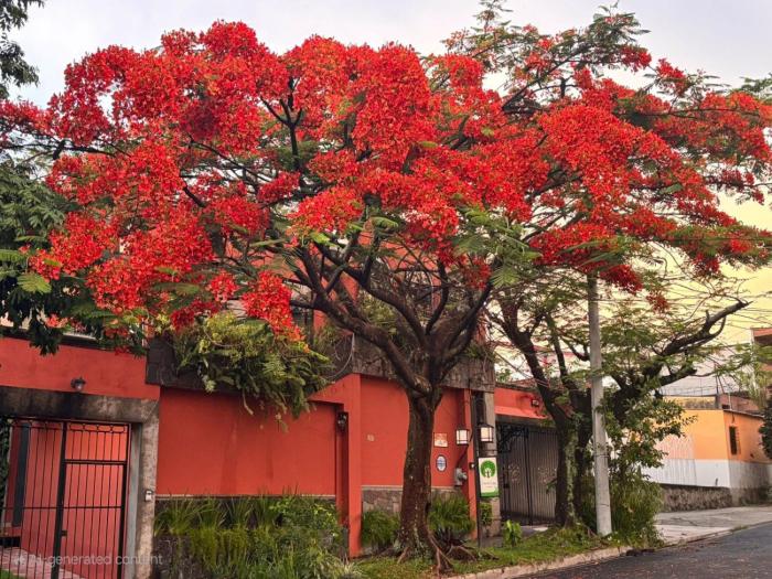 Arbol de Fuego Eco-hotel