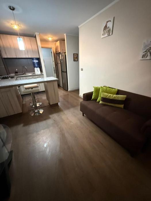 Departamento Santiago Centro