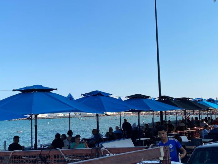 Habibi-Danydan-LaGoulette